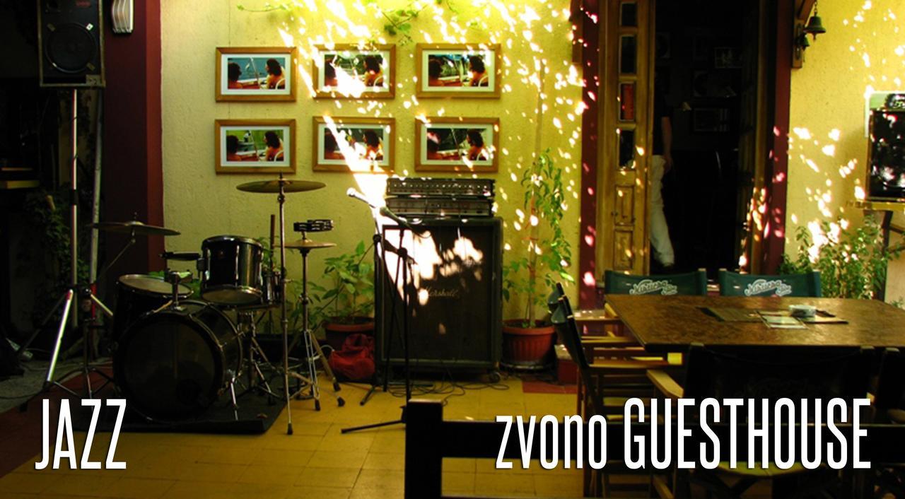 Guesthouse Zvono Pluzine Luaran gambar